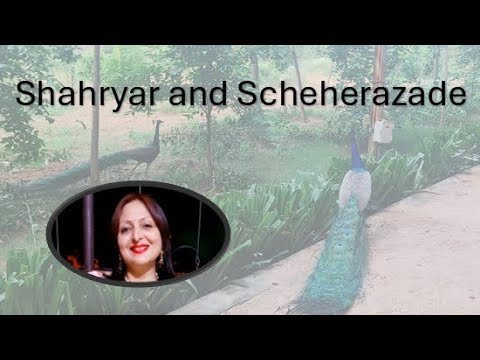 Arabian Nights The story of  Shahryar and Scheherazade ( English Audio ) YouTube thumbnail